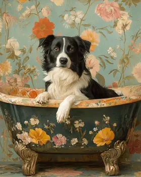 Border Collie in Bathtub - Pet Dog Still Life Wall Art Prints – 8″x10″ Artwork for 11″x14″ Frame