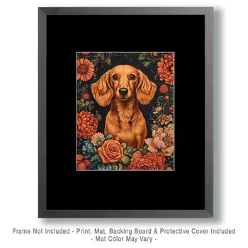 Fawn Dachshund - Pet Dog Still Life Wall Art Prints – 8″x10″ Artwork for 11″x14″ Frame
