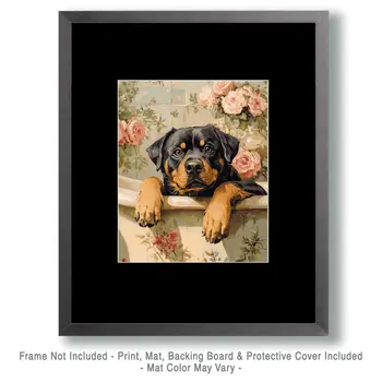 Rottweiler in Bathtub - Pet Dog Still Life Wall Art Prints – 8″x10″ Artwork for 11″x14″ Frame