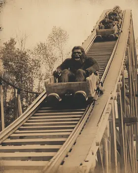 Bigfoot on a Rollercoaster - Bigfoot and Sasquatch Wall Art Prints – 8″x10″ Artwork in 11″x14″ Mat