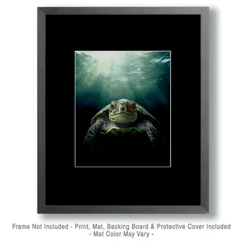 Turtle Lurking - Wildlife Wall Art Prints – 8″x10″ Artwork for 11″x14″ Frame