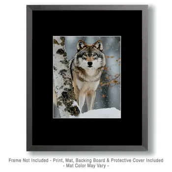 Wolf Behind Birch - Wildlife Wall Art Prints – 8″x10″ Artwork for 11″x14″ Frame