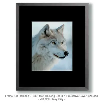 Intent White Wolf - Wildlife Wall Art Prints – 8″x10″ Artwork for 11″x14″ Frame