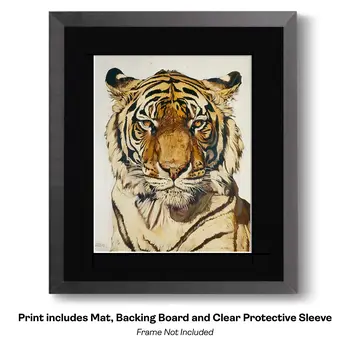 Climbing Koala Bear - Animal Kingdom Wall Art Prints, from Cute to Majestic – 8″x10″ Artwork for 11″x14″ Frame