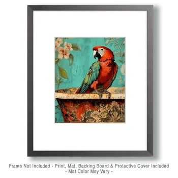 Parrot on Fancy Bathtub - Bathroom Wall Art Prints – 8″x10″ Artwork for 11″x14″ Frame