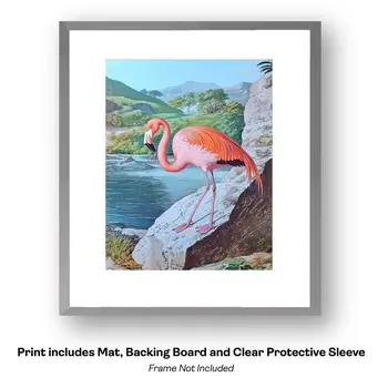 Morning Flamingo Gathering - Wall Art Print - Souvenir Seaside Beachcore - 8"x10" Artwork - 11"x14" Mat