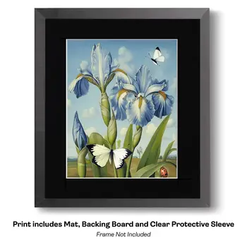Flowering Desert Cactus with Pink Flowers 8"x10" Floral Art Print for 11"x14" Frame