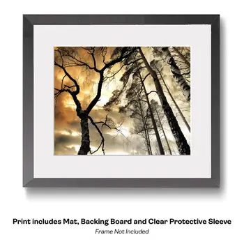 Reflection of Sun Peaking Through - Wall Art Print - Moody Ethereal Landscapes - 10"x8" Artwork - 14"x11" Mat