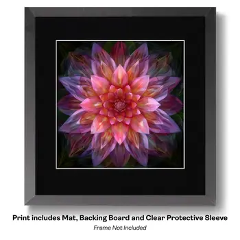 Flowering Desert Cactus with Pink Flowers 8"x10" Floral Art Print for 11"x14" Frame