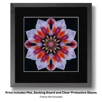 Flowering Desert Cactus with Pink Flowers 8"x10" Floral Art Print for 11"x14" Frame