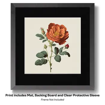 Flowering Desert Cactus with Pink Flowers 8"x10" Floral Art Print for 11"x14" Frame