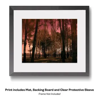 Reflection of Sun Peaking Through - Wall Art Print - Moody Ethereal Landscapes - 10"x8" Artwork - 14"x11" Mat