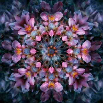 Purple Kaeidoscope Flower 2, 8"x8" Art Print for 12"x12" Frame