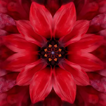 Red Kaleidoscope Flower 8"x8" Art Print for 12"x12" Frame