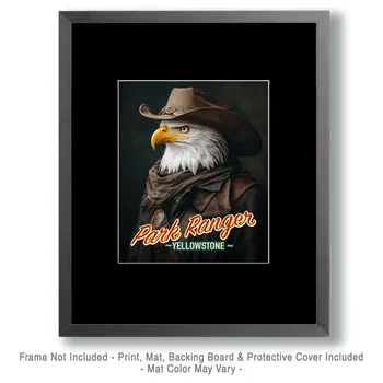 Bald Eagle - Animal Park Ranger Wall Art Prints – 8″x10″ Artwork for 11″x14″ Frame