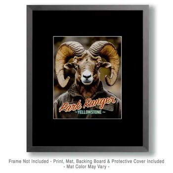 Bighorn Ram - Animal Park Ranger Wall Art Prints – 8″x10″ Artwork for 11″x14″ Frame