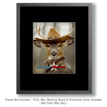 Buck Deer - Animal Park Ranger Wall Art Prints – 8″x10″ Artwork for 11″x14″ Frame