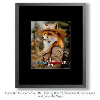 Red Fox - Animal Park Ranger Wall Art Prints – 8″x10″ Artwork for 11″x14″ Frame
