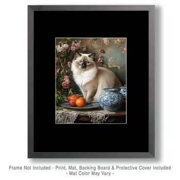 Ragdoll Posing - Pet Cat Still Life Wall Art Prints – 8″x10″ Artwork for 11″x14″ Frame