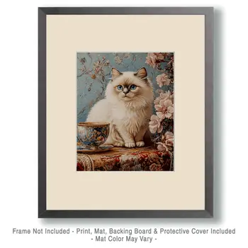 Ragdoll Kitten Portrait - Pet Cat Still Life Wall Art Prints – 8″x10″ Artwork for 11″x14″ Frame