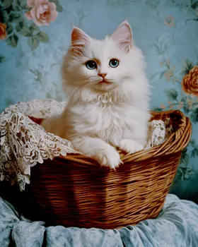 Ragdoll Kitten in Basket - Pet Cat Still Life Wall Art Prints – 8″x10″ Artwork for 11″x14″ Frame