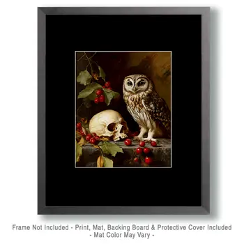 Vintage Owl and Skull Still-Life - Skull & Skeleton Art Prints - 8"x10" Art Print for 11"x14" Frame