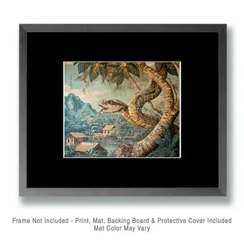 Snake #2 - Rattanakosin Style Wall Art Prints – 8″x10″ Artwork for 11″x14″ Frame