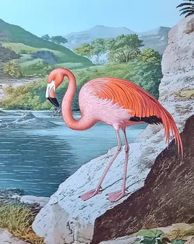 Flamingo Solo - Wall Art Print - Souvenir Seaside Beachcore - 8"x10" Artwork - 11"x14" Mat