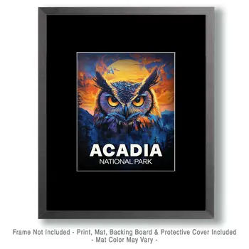 Midnight Owl - Acadia National Park Souvenir Art Prints - 8"x10" Artwork for 11"x14" Frame