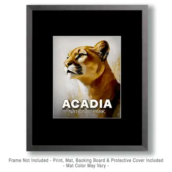 Proud Mountain Lion - Acadia National Park Souvenir Art Prints - 8"x10" Artwork for 11"x14" Frame