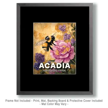 Garden Bumblebee - Acadia National Park Souvenir Art Prints - 8"x10" Artwork for 11"x14" Frame