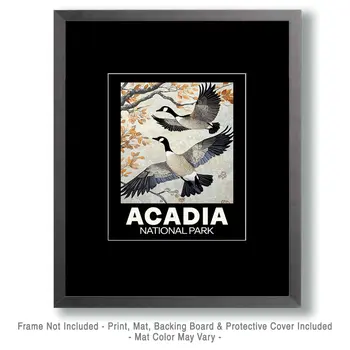 Two Canadian Geese - Acadia National Park Souvenir Art Prints - 8"x10" Artwork for 11"x14" Frame