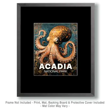 Octopus - Acadia National Park Souvenir Art Prints - 8"x10" Artwork for 11"x14" Frame