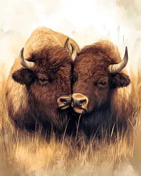 Bison #1 - Animals in Love Wall Art Prints – 8″x10″ Artwork for 11″x14″ Frame