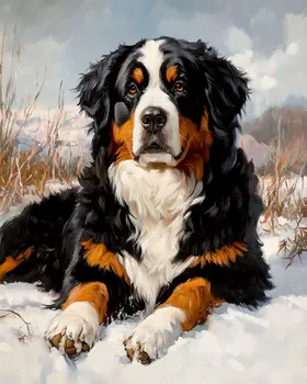 Bernese Mountain Dog in the Snow - Pet Dog Still Life Wall Art Prints – 8″x10″ Artwork for 11″x14″ Frame