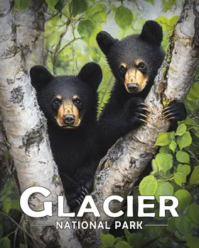 Two Bear Cubs - Glacier Souvenir Art Prints - 8"x10" Artwork for 11"x14" Frame