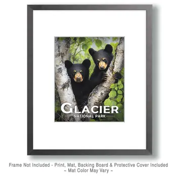 Two Bear Cubs - Glacier Souvenir Art Prints - 8"x10" Artwork for 11"x14" Frame
