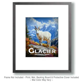 Mountain Goat - Glacier Souvenir Art Prints - 8"x10" Artwork for 11"x14" Frame