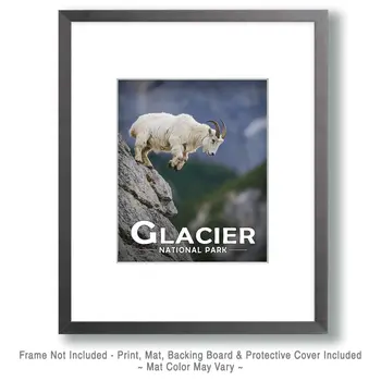 Mountain Goat Jumping - Glacier Souvenir Art Prints - 8"x10" Artwork for 11"x14" Frame
