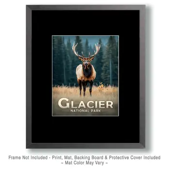 Standing Bull Elk - Glacier Souvenir Art Prints - 8"x10" Artwork for 11"x14" Frame
