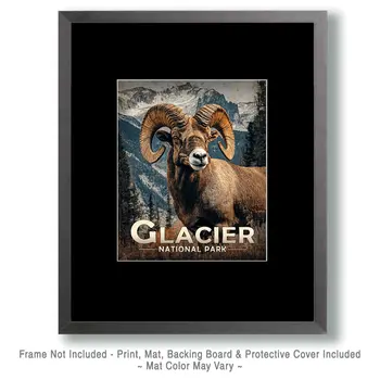 Bighorn Sheep Ram - Glacier Souvenir Art Prints - 8"x10" Artwork for 11"x14" Frame