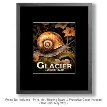 Forest Snail - Glacier Souvenir Art Prints - 8"x10" Artwork for 11"x14" Frame
