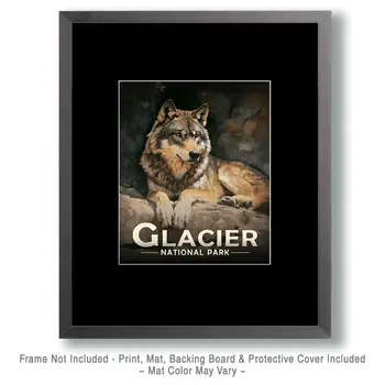 Relaxing Wolf - Glacier Souvenir Art Prints - 8"x10" Artwork for 11"x14" Frame