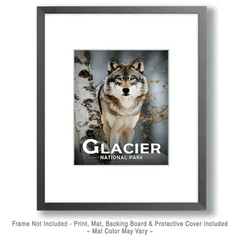 Wolf & Birch - Glacier Souvenir Art Prints - 8"x10" Artwork for 11"x14" Frame