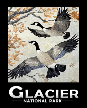 Flying Canadian Geese - Glacier Souvenir Art Prints - 8"x10" Artwork for 11"x14" Frame