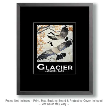 Flying Canadian Geese - Glacier Souvenir Art Prints - 8"x10" Artwork for 11"x14" Frame