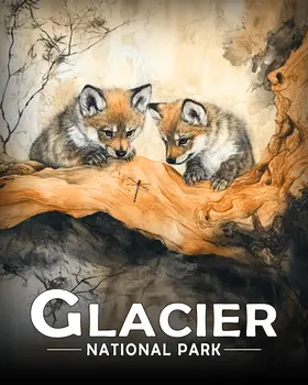 Wolf Cubs Eye Dragonfly - Glacier Souvenir Art Prints - 8"x10" Artwork for 11"x14" Frame