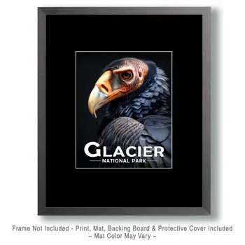 Vulture - Glacier Souvenir Art Prints - 8"x10" Artwork for 11"x14" Frame