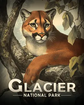 Antique Style Mountain Lion - Glacier Souvenir Art Prints - 8"x10" Artwork for 11"x14" Frame