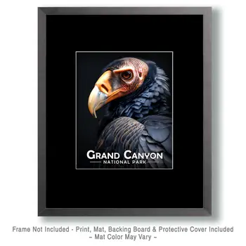 Vulture Portrait - Grand Canyon Souvenir Art Prints - 8"x10" Artwork for 11"x14" Frame
